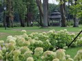 20220810_162556 (2).jpg
